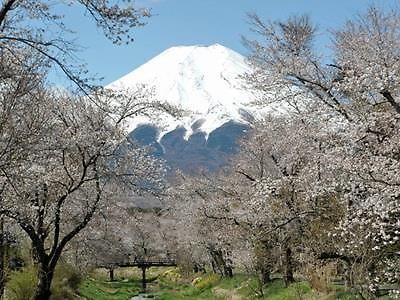 Pension Sumomo No Ki Oshino Esterno foto