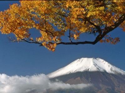 Pension Sumomo No Ki Oshino Esterno foto