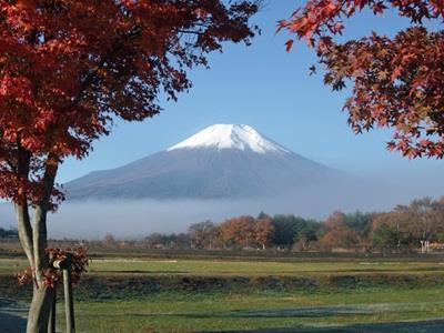 Pension Sumomo No Ki Oshino Esterno foto